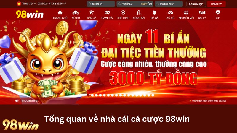 Tổng quan về nhà cái 98win