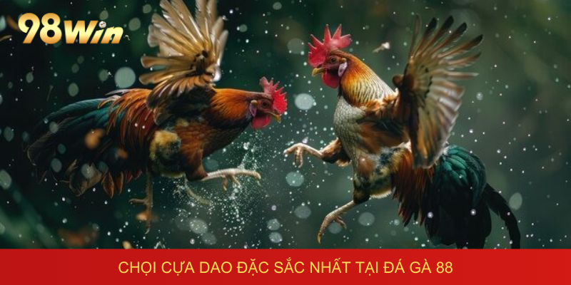 Chọi cựa dao đặc sắc nhất tại đá gà 88