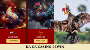 Đá gà casino 98win