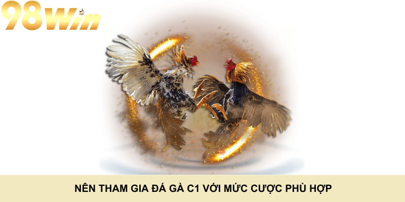 Nên tham gia đá gà C1 với mức cược phù hợp